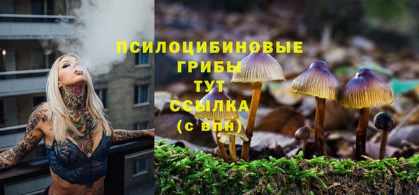 марки nbome Инта
