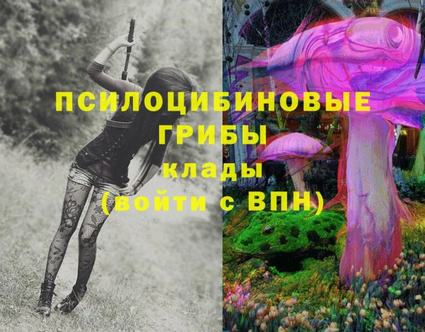 ALPHA-PVP Каменногорск
