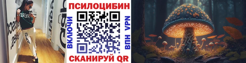 Галлюциногенные грибы GOLDEN TEACHER  Купить  Духовщина 
